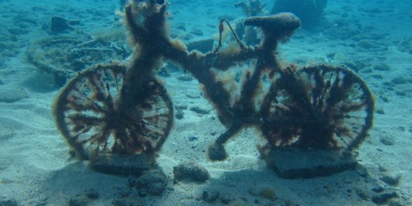 Urlaub Kathrin und Oliver in Fuerteventura